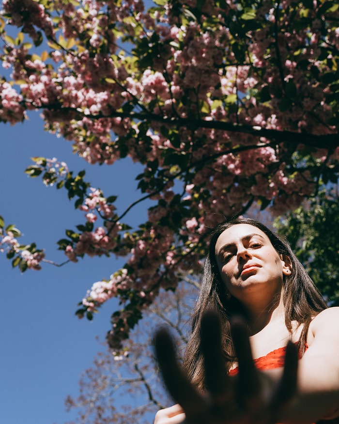 Looking up through pink blossom against a blue sky